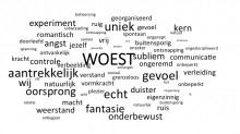 Woest Wolkje